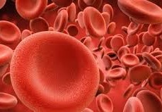 ما هي اعراض فقر الدم