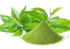 ما هي الماتشا