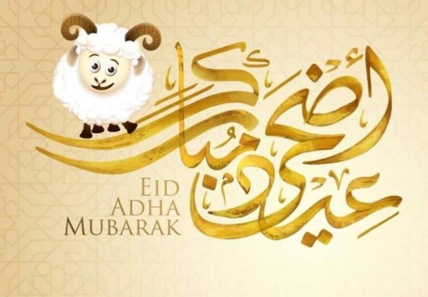 أرشيفية